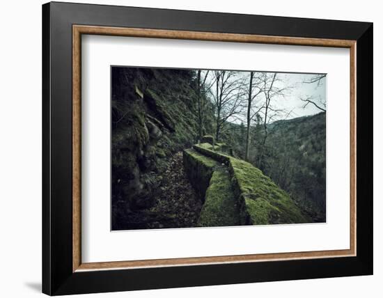 Remains of a wall and a bunker on a mountain in a wood in winter in Alsace-Axel Killian-Framed Photographic Print