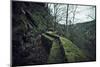 Remains of a wall and a bunker on a mountain in a wood in winter in Alsace-Axel Killian-Mounted Photographic Print