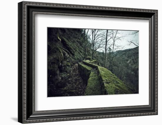 Remains of a wall and a bunker on a mountain in a wood in winter in Alsace-Axel Killian-Framed Photographic Print