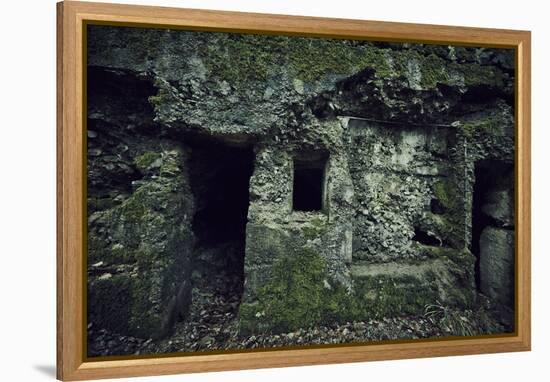 Remains of a wall and a bunker on a mountain in a wood in winter in Alsace-Axel Killian-Framed Premier Image Canvas