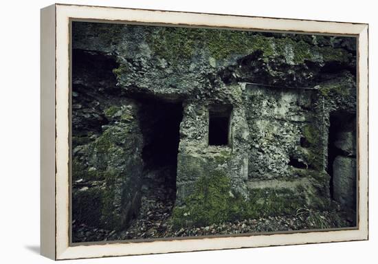 Remains of a wall and a bunker on a mountain in a wood in winter in Alsace-Axel Killian-Framed Premier Image Canvas