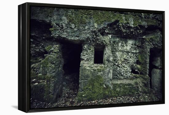 Remains of a wall and a bunker on a mountain in a wood in winter in Alsace-Axel Killian-Framed Premier Image Canvas