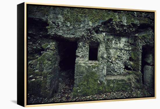 Remains of a wall and a bunker on a mountain in a wood in winter in Alsace-Axel Killian-Framed Premier Image Canvas