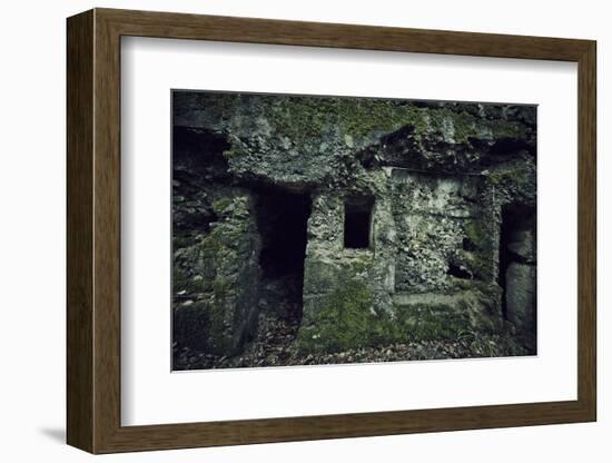 Remains of a wall and a bunker on a mountain in a wood in winter in Alsace-Axel Killian-Framed Photographic Print