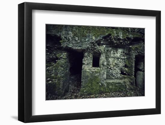 Remains of a wall and a bunker on a mountain in a wood in winter in Alsace-Axel Killian-Framed Photographic Print