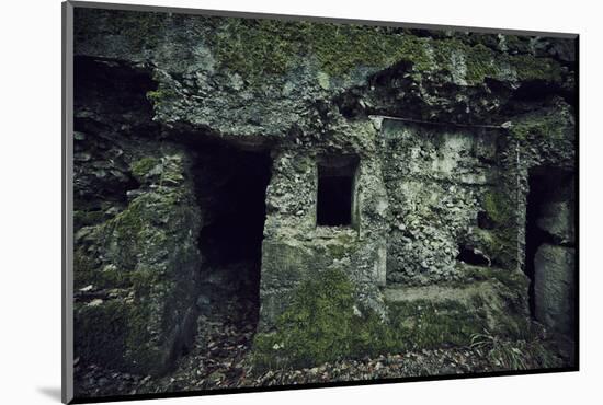 Remains of a wall and a bunker on a mountain in a wood in winter in Alsace-Axel Killian-Mounted Photographic Print