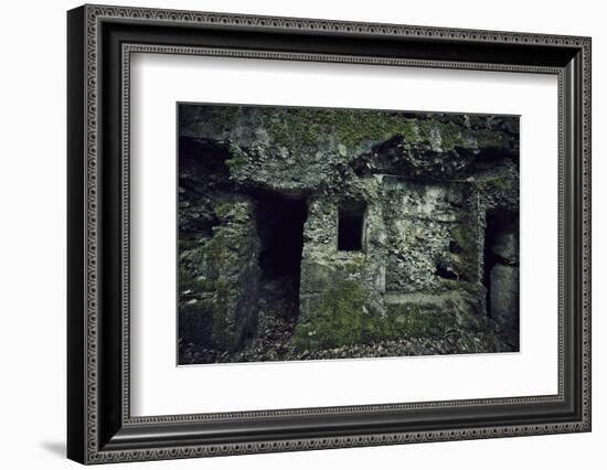 Remains of a wall and a bunker on a mountain in a wood in winter in Alsace-Axel Killian-Framed Photographic Print