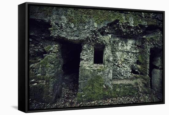 Remains of a wall and a bunker on a mountain in a wood in winter in Alsace-Axel Killian-Framed Stretched Canvas