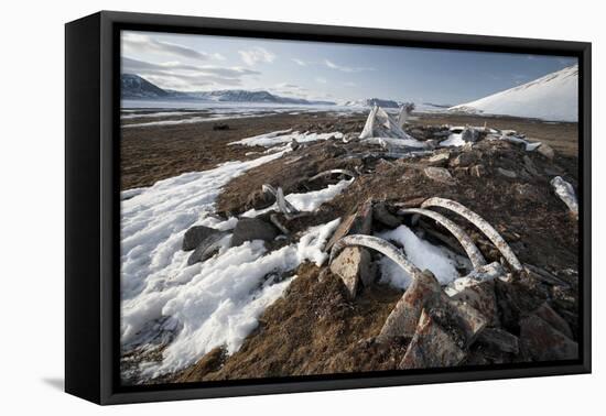 Remains of an Ancient Inuit Sod House-Doug Allan-Framed Premier Image Canvas