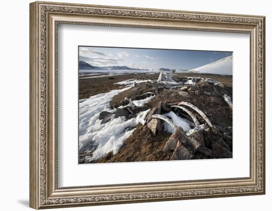 Remains of an Ancient Inuit Sod House-Doug Allan-Framed Photographic Print