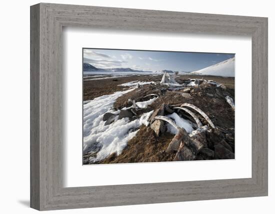 Remains of an Ancient Inuit Sod House-Doug Allan-Framed Photographic Print