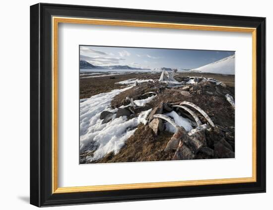 Remains of an Ancient Inuit Sod House-Doug Allan-Framed Photographic Print