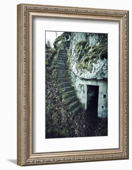 Remains of stairs and a bunker on a mountain in a wood in winter in Alsace-Axel Killian-Framed Photographic Print