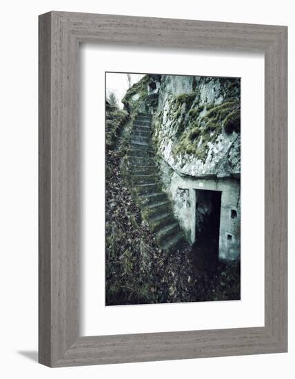 Remains of stairs and a bunker on a mountain in a wood in winter in Alsace-Axel Killian-Framed Photographic Print