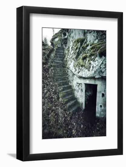 Remains of stairs and a bunker on a mountain in a wood in winter in Alsace-Axel Killian-Framed Photographic Print