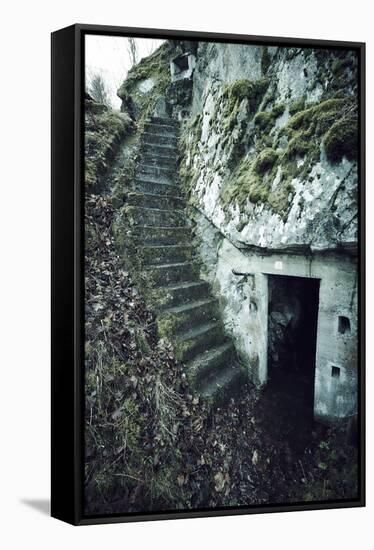 Remains of stairs and a bunker on a mountain in a wood in winter in Alsace-Axel Killian-Framed Stretched Canvas