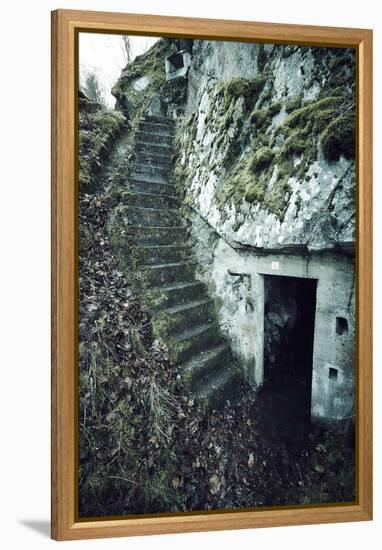 Remains of stairs and a bunker on a mountain in a wood in winter in Alsace-Axel Killian-Framed Premier Image Canvas