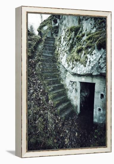 Remains of stairs and a bunker on a mountain in a wood in winter in Alsace-Axel Killian-Framed Premier Image Canvas