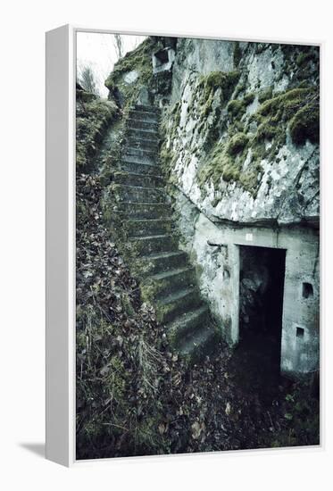 Remains of stairs and a bunker on a mountain in a wood in winter in Alsace-Axel Killian-Framed Premier Image Canvas