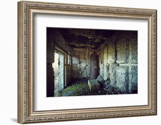 Remains of the interior of a bunker on a mountain in a wood in winter in Alsace-Axel Killian-Framed Photographic Print