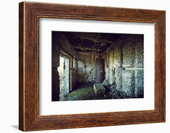 Remains of the interior of a bunker on a mountain in a wood in winter in Alsace-Axel Killian-Framed Photographic Print