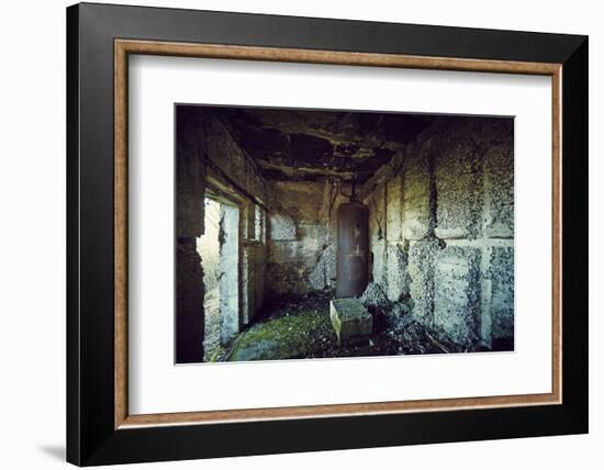 Remains of the interior of a bunker on a mountain in a wood in winter in Alsace-Axel Killian-Framed Photographic Print