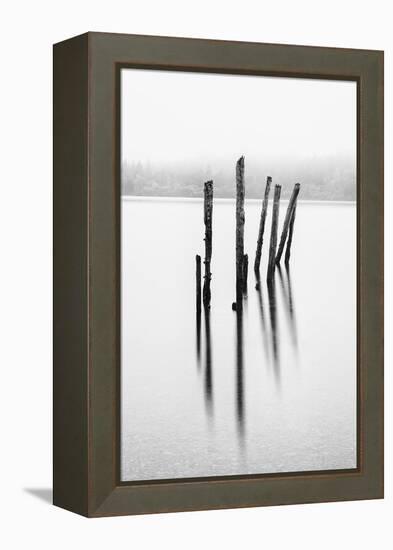 Remains of the old jetty, Derwentwater, Cumbria, UK-Nadia Isakova-Framed Premier Image Canvas