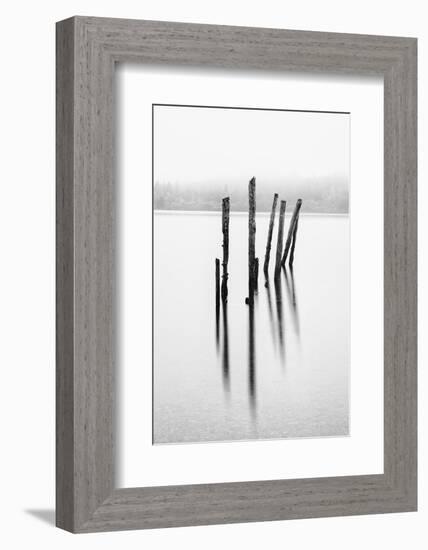 Remains of the old jetty, Derwentwater, Cumbria, UK-Nadia Isakova-Framed Photographic Print