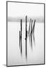 Remains of the old jetty, Derwentwater, Cumbria, UK-Nadia Isakova-Mounted Photographic Print