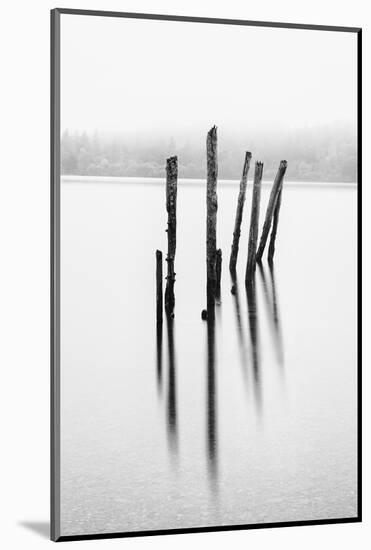 Remains of the old jetty, Derwentwater, Cumbria, UK-Nadia Isakova-Mounted Photographic Print