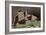 Remains of White House-null-Framed Giclee Print