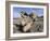 Remarkable Rocks, Flinders Chase National Park, Kangaroo Island, South Australia, Australia-Neale Clarke-Framed Photographic Print