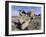 Remarkable Rocks, Flinders Chase National Park, Kangaroo Island, South Australia, Australia-Neale Clarke-Framed Photographic Print