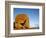 Remarkable Rocks formation in Flinders Chase National Park-Paul Souders-Framed Photographic Print