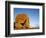 Remarkable Rocks formation in Flinders Chase National Park-Paul Souders-Framed Photographic Print