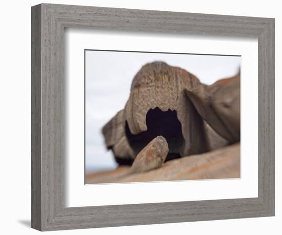 Remarkable Rocks formation in Flinders Chase National Park-Paul Souders-Framed Photographic Print