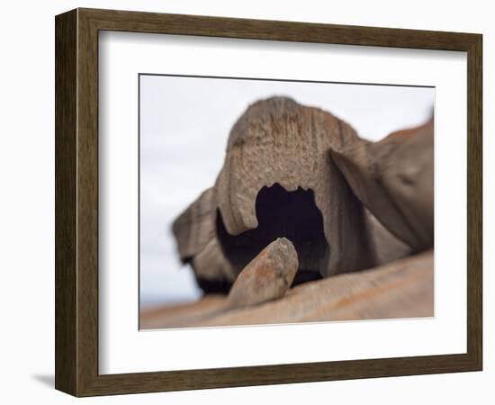 Remarkable Rocks formation in Flinders Chase National Park-Paul Souders-Framed Photographic Print