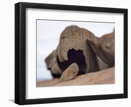 Remarkable Rocks formation in Flinders Chase National Park-Paul Souders-Framed Photographic Print