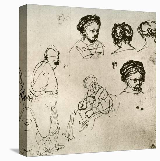 Stretched Canvas Print, , large