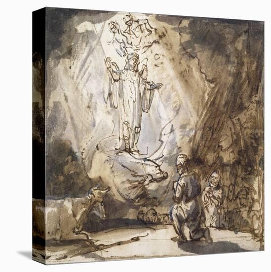 Stretched Canvas Print, , large