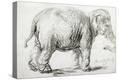 Stretched Canvas Print