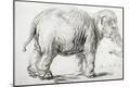 Giclee Print