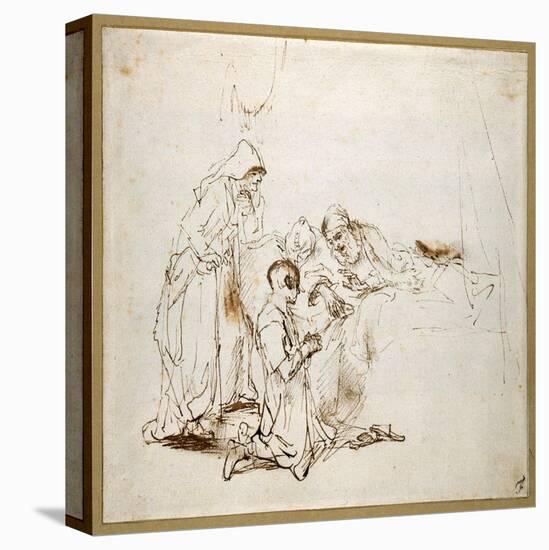 Stretched Canvas Print, , large