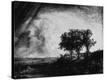 Stretched Canvas Print