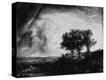Stretched Canvas Print