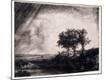 Giclee Print