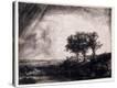 Stretched Canvas Print