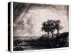 Stretched Canvas Print