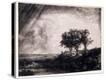 Stretched Canvas Print