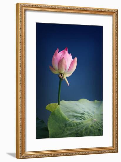 Remember Me-Philippe Sainte-Laudy-Framed Photographic Print